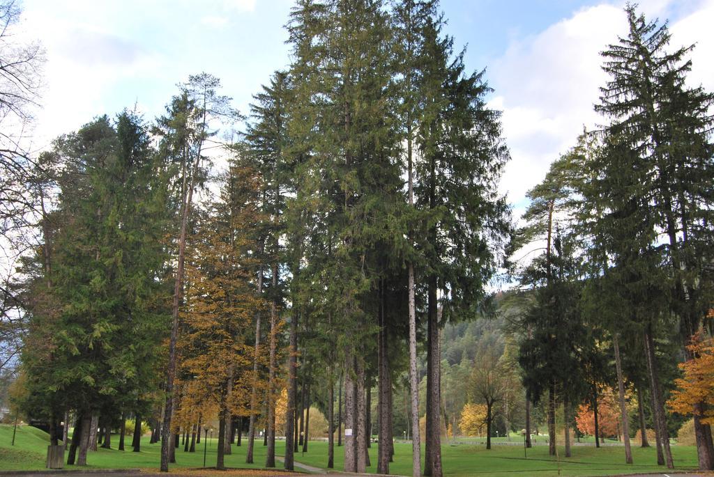 Residenza Finestra Sul Parco Daire Comano Terme Dış mekan fotoğraf